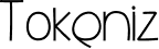 توکنایز